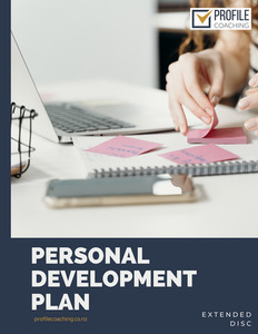 Extended DISC Professional Development Plan Profile Coaching