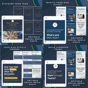 4x DISC Carousels for Social Media Profile Coaching