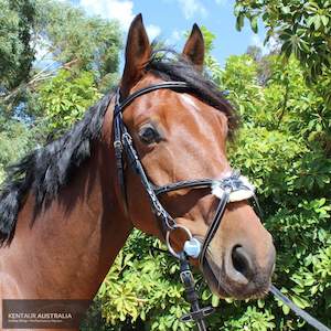 Bridles Bridlewear: Kentaur 'Knoxville' Grackle Bridle