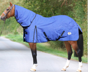 Canvas Horse Rugs: Canvas Quilted Combo