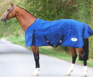 Canvas Horse Rugs: Canvas Horse Rug - Unlined