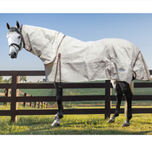 Canvas Horse Rugs: Blanket Lined Canvas Combo