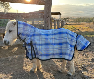Cheap Shade Cloth Horse Rugs: Mini Horse Shadecloth Combo