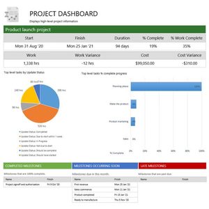Project Intelligence Template for Microsoft Project