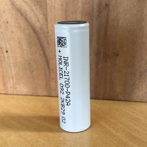 Products: Molicel 21700 P42A​