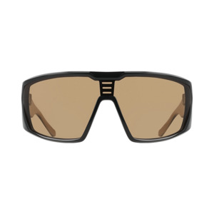 Dragon Sunglasses Chasm Black/ LL Brown