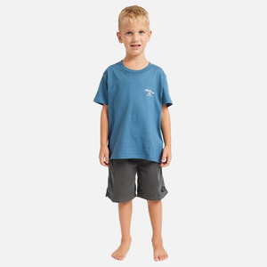 Boys: Billabong JNR Groms Crossboards Tee - Real Teal