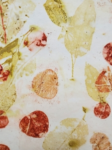 Products: Cotton Rag Eco Print Papers - Provenance – Crafting with Nature