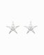 Luminous Star Earrings Silver