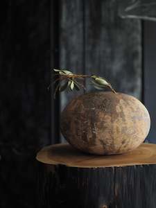 Kristen Calder: Aotea