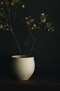Hitoshi Morimoto: Vessel