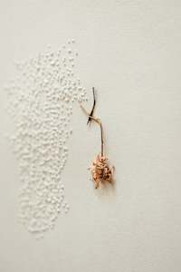 Brooke Georgia: Untitled, Daisy, Pin 2010 Ver.1