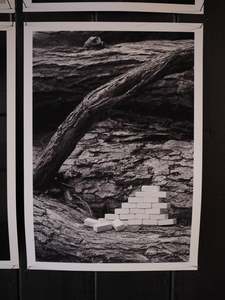 Deborah Smith: Sanctuary, 2024