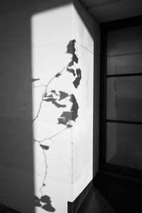 Deborah Smith: Praise You, 2024