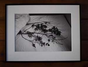 Deborah Smith: Tree Husband, 2015