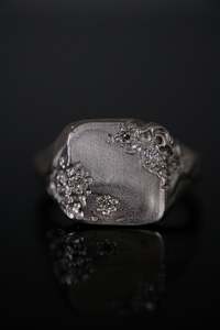 Eroded Ring, ver2