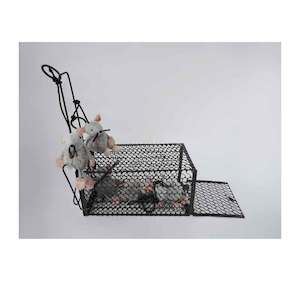 Cats: Little Bungee Mouse