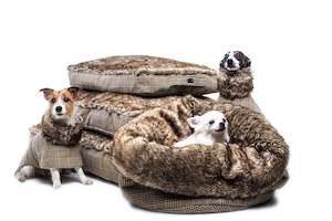 Dogs: Tweed Beds