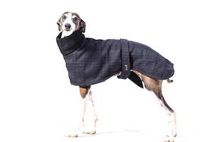Dogs: Classic Greyhound coat