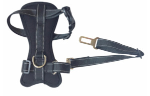 Safety Seat Belt Harness