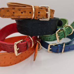 Dog Walk: Little Softee Hound Collar
