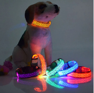Dog Walk: Leopard Night-light Collar