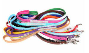 Dog Walk: Glitterbomb Lead