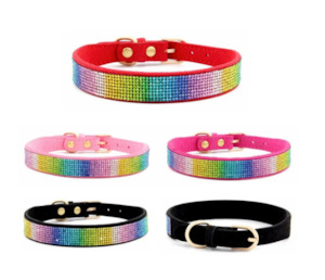 Dog Walk: Crystal  Rainbow Collar