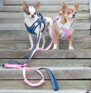 Dog Walk: Comfy Harness