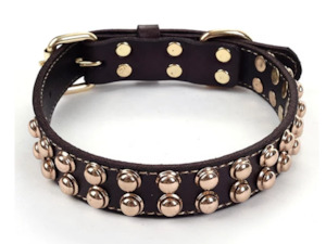 Dog Walk: Ablaze Brass Collar