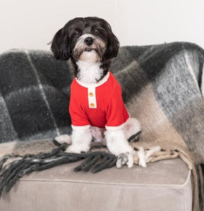 Wear Dog: Q Tee
