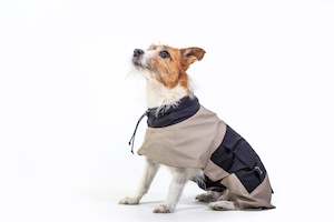 Wear Dog: Chelsea Raincoat