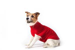Merino Tee