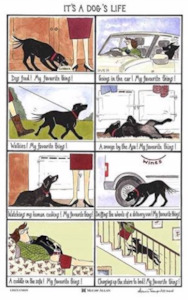 Home People: It's A Dogs Life Tea Towel