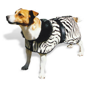 Coats And Jackets: Zebra Coat