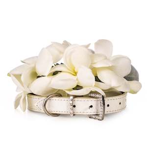 Occasions: Dog Of Honour Collar