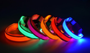 Dog Walk: Safety Nigh-light Collar