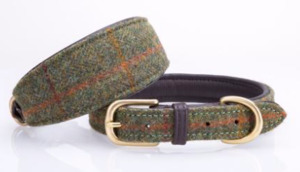 Dog Collars: English Tweed Greyhound Collar