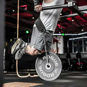 Clancartel Com: Weight Lifting Belt With Chain