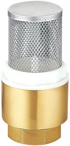 Non Return Valves: Brass Foot Valve
