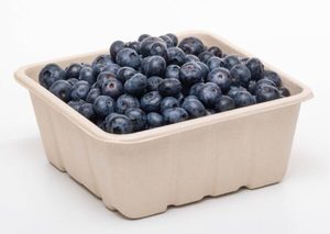 Products: 700g - 1kg Produce fibre punnet 175 x 175 x 72mm (with holes) - Punchbowl Packaging