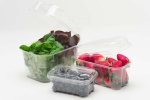 Products: Punnets - Punchbowl Packaging
