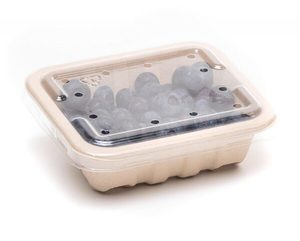 Products: RPET Lids - Punchbowl Packaging