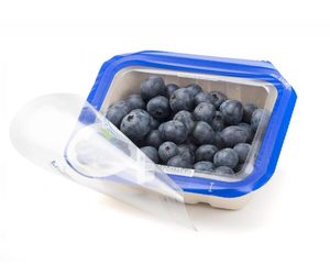 Products: Top Seal Film - Punchbowl Packaging