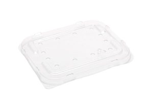 Products: 250g PET Flat punnet lid (with holes) 138 x 120 x 11mm - Punchbowl Packaging