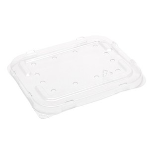 Products: 370-500g RPET Flat lid (with holes) 115 x 185 x 11mm - Punchbowl Packaging