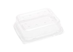 Products: 250g Raised PET punnet lid (with holes) 138 x 120 x 36mm - Punchbowl Packaging