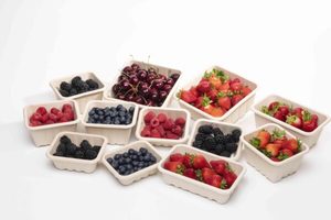 Products: FREE 100 units of packaging trays or punnets - Punchbowl Packaging