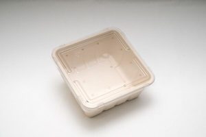 700g - 1kg Produce fibre punnet 175 x 175 x 72mm (with holes) and RPET Flat Lid &hellip;