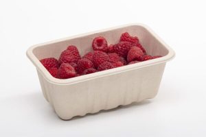 Products: 330-500g Produce fibre punnet (with holes) - Punchbowl Packaging